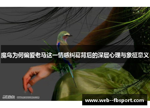魔鸟为何偏爱老马这一情感纠葛背后的深层心理与象征意义