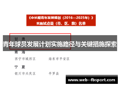 青年球员发展计划实施路径与关键措施探索 青年球员发展计划实施路径与关键措施探索